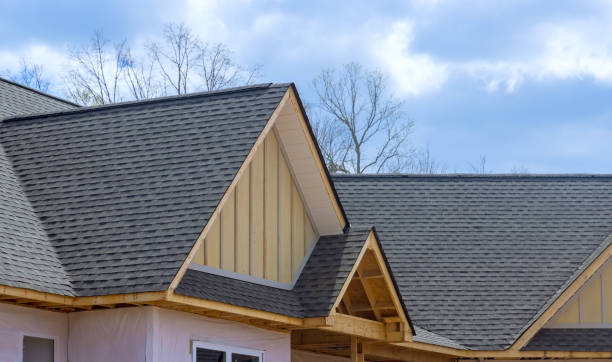 Best Gutter Installation and Repair  in Luverne, AL