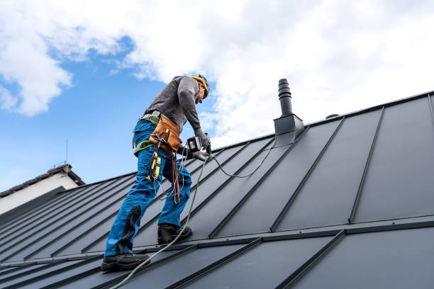 Best Storm Damage Roof Repair  in Luverne, AL