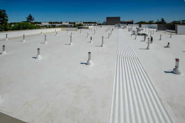 Best Skylights  in Luverne, AL